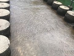 -千泷沟大瀑布旅游区