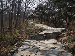 -北京鹫峰国家森林公园