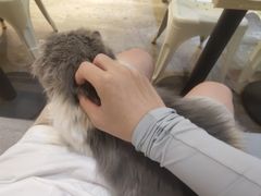 -小时光咖啡馆(开森度假森林店)
