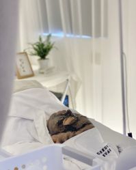 -Cream88颜皮肤管理中心