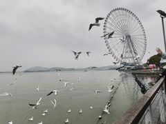 -蠡湖大桥公园