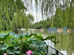 -扬州市茱萸湾风景区