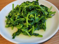 清炒豌豆尖-一坐一忘云南菜(三里屯店)