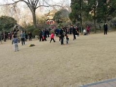 -洛阳市牡丹公园