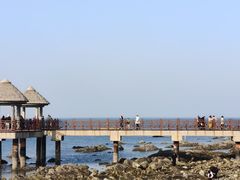 -养马岛旅游度假区