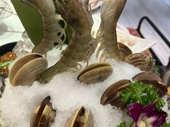 -沄记顺德菜打边炉(东直门店)