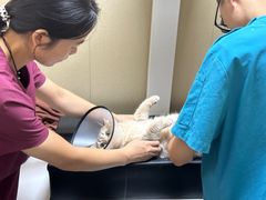 -瑞鹏宠物医院·普外科·影像科·皮肤科(城市山谷分院)