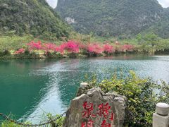 -靖西鹅泉风景区
