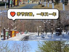 -长白岛森林公园