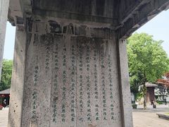 -鲁镇