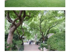 -静安公园(静安寺街道)