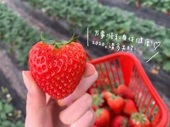 -川知味(京华城店)