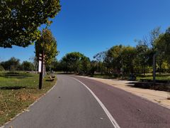 -武清南湖绿博园