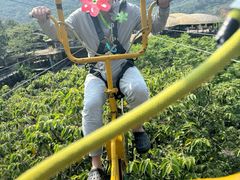 -海南槟榔谷黎苗文化旅游区