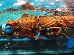 -阿伟海鲜楼·福建菜(延寿店)