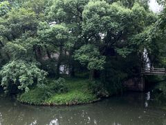 -西溪国家湿地公园