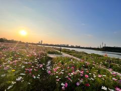 -海珠湖公园