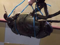 -金唐海鲜酒家