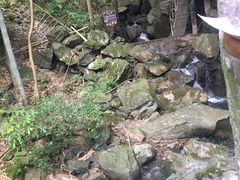 -藏龙百瀑风景区