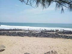 -漳州滨海火山岛自然生态风景区