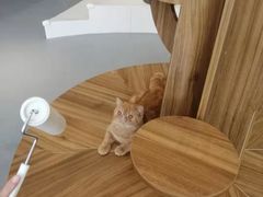 -飞行喵MR PILOT|猫舍·猫咖(静安大融城店)