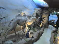 -西霞口神雕山野生动物世界