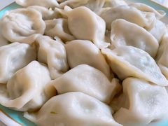 西葫芦水饺-岳姥姥饺子(泺文路店)
