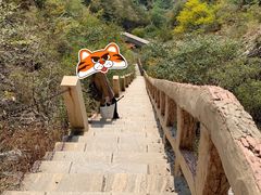 -圣莲山风景区