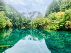 -九寨沟-树正沟