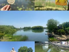 -尚湖风景区