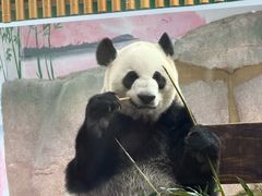 -无锡动物园·太湖欢乐园