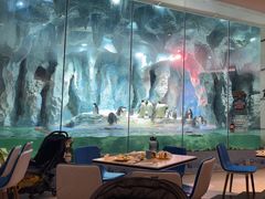 -帝企鹅自助餐厅•儿童岛•真企鹅(长隆企鹅酒店)