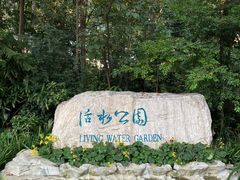 -成都市活水公园