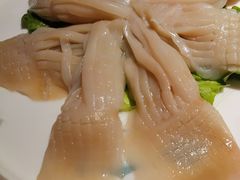 -二荆条·蜀鲜汇城市森林火锅