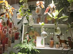 -懒人盐府人家(航天桥店)