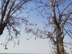 -捞渔河湿地公园