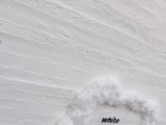 -白噪音White Noise·798概念店