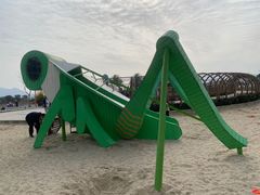 -三垟湿地