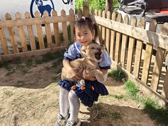 -鄂尔多斯野生动物园