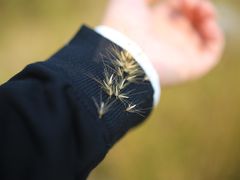 -白鹭湾湿地公园