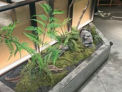 -大榕树下顺德菜(金沙洲永旺店)