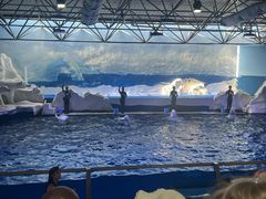 -秦皇岛乐岛海洋王国