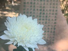 -上海市龙华烈士陵园