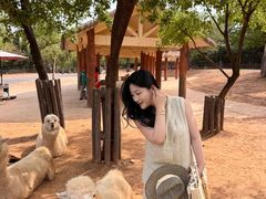 -济南野生动物世界