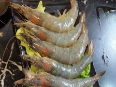 -燚青春东北泥炉烤肉(百合店)