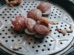 -巧克力渔家.小船海鲜家常菜(三浴场店)