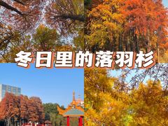-金砂公园