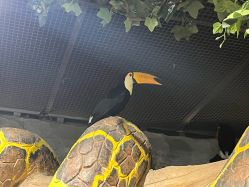 -Zoolung Zoolung动物主题公园(海信广场店)