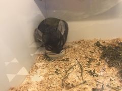 -龙猫仔乐园(惠福东路店)