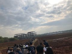 景点-成都大熊猫繁育研究基地